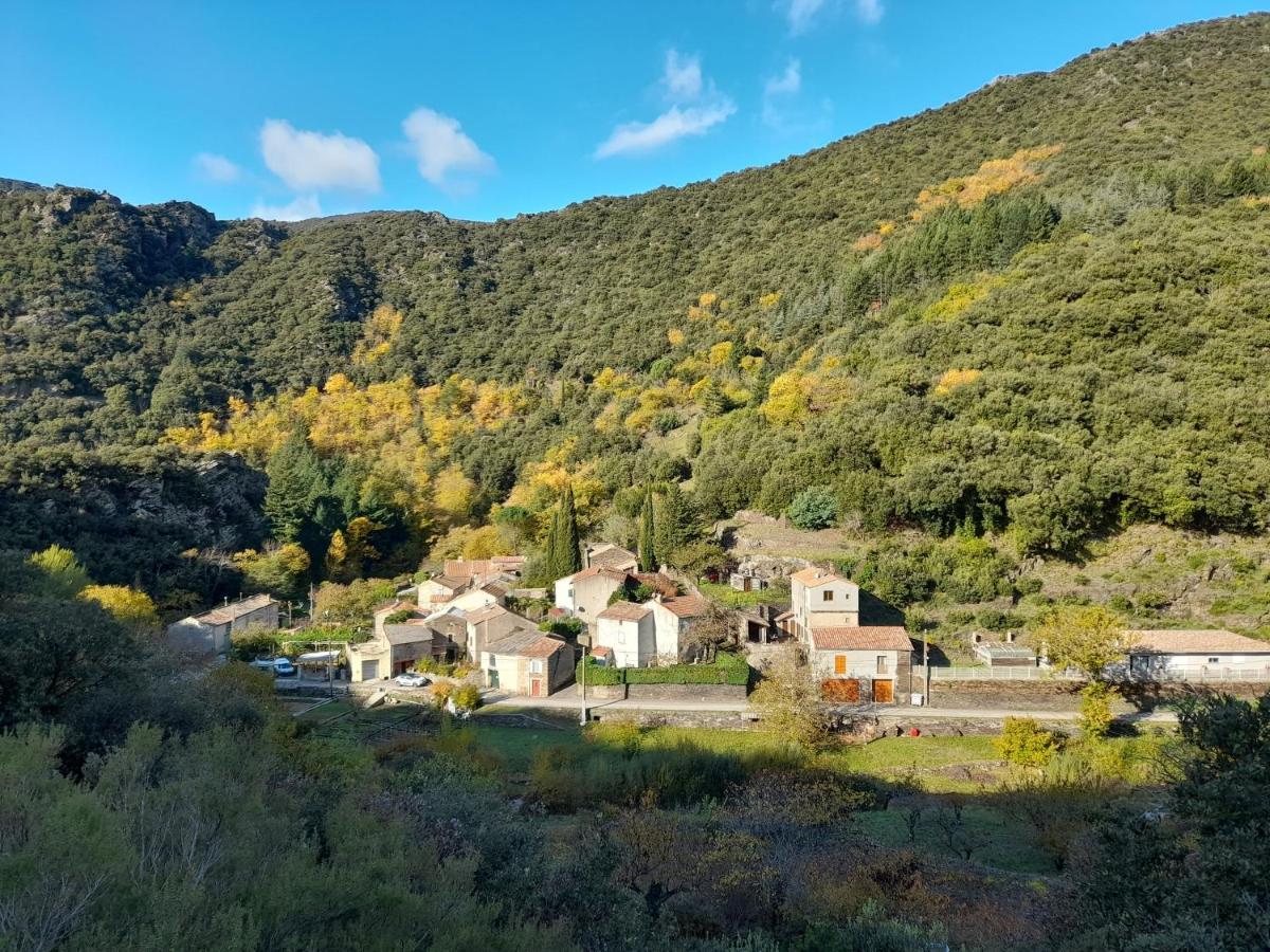 Villa La Fontchaude Cabrespine Esterno foto